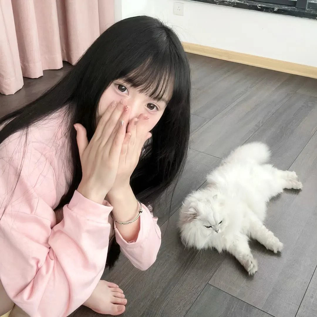 我是猫